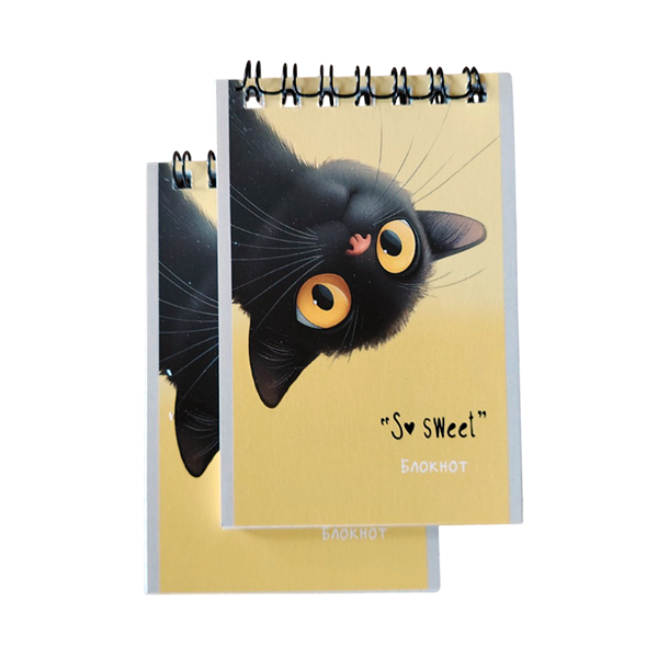 Купить Блокнот "Забавные котики" - фото 